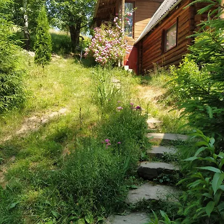Krutogora *