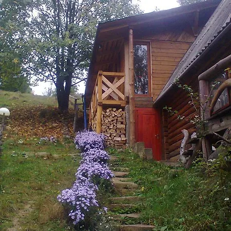 Krutogora