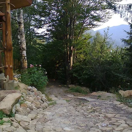 Krutogora