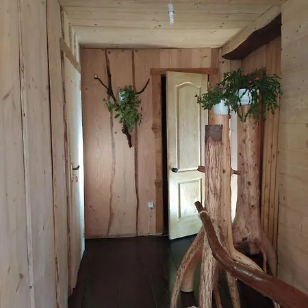 Guest house Krutogora
