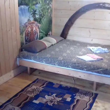 Krutogora Guest house *