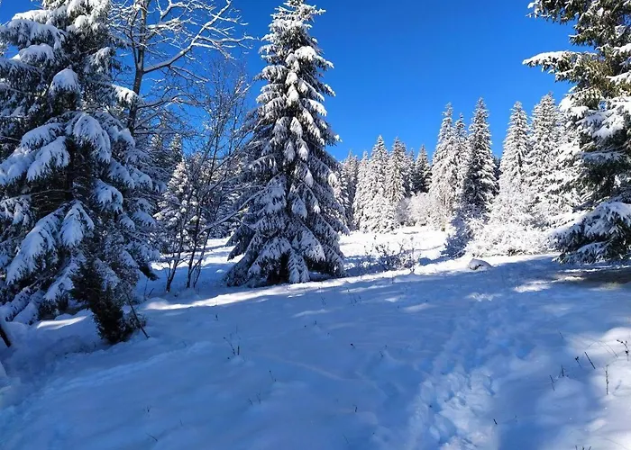 Krutogora Konukevi *