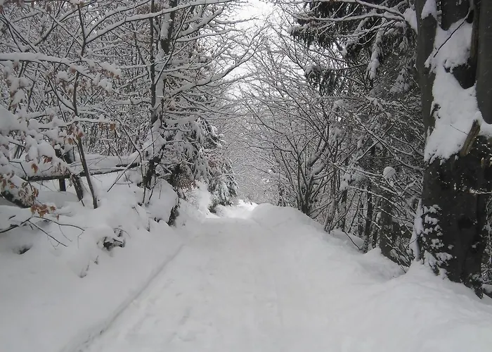 Krutogora Konukevi