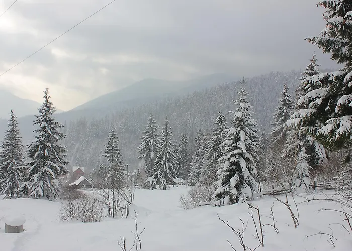 Konukevi Krutogora