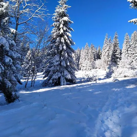 Krutogora Casa de hóspedes *