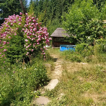 Casa de hóspedes Krutogora