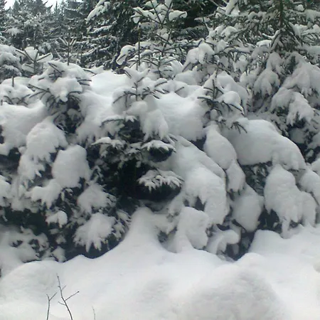 Krutogora Casa de hóspedes Tatariv