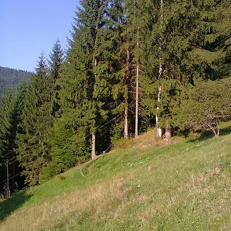 Krutogora