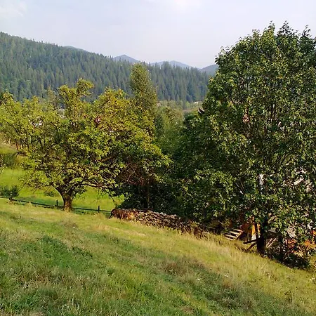 Krutogora Pensión Tatariv