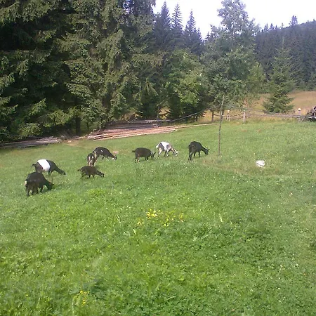 Casa de hóspedes Krutogora Tatariv