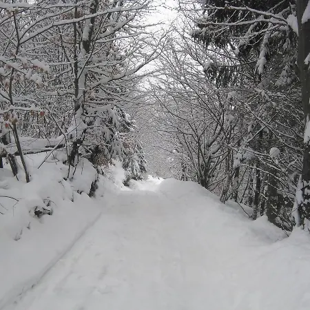 Krutogora Casa de hóspedes