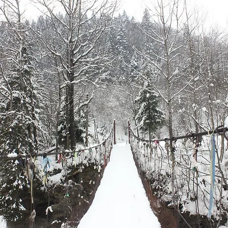 Krutogora Casa de hóspedes