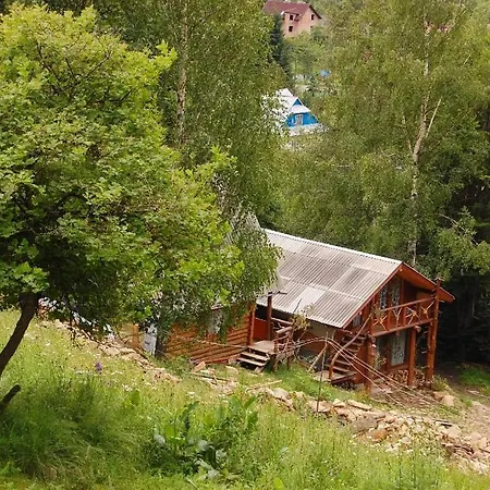 Krutogora